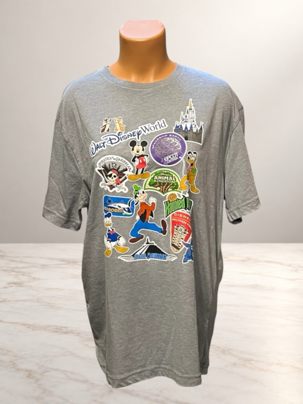 Disney Parks Walt Disney World Attractions Characters Gray T-Shirt Size L